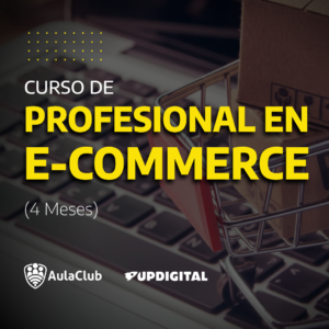 Profesional en E-Commerce