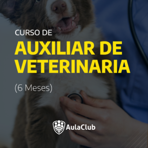 Auxiliar de Veterinaria